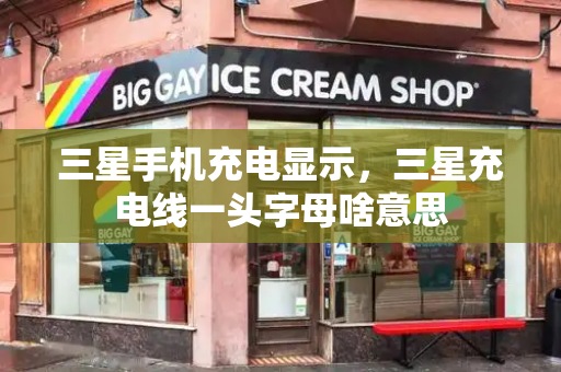 三星手机充电显示，三星充电线一头字母啥意思