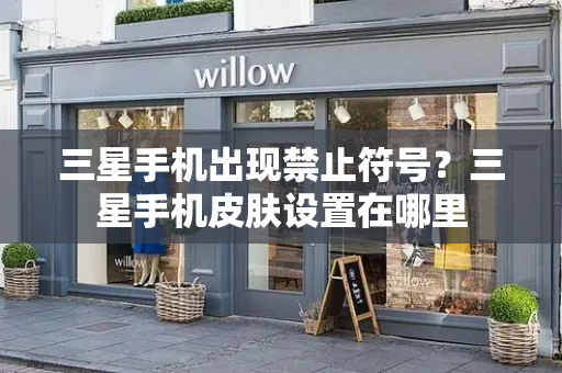 三星手机出现禁止符号？三星手机皮肤设置在哪里