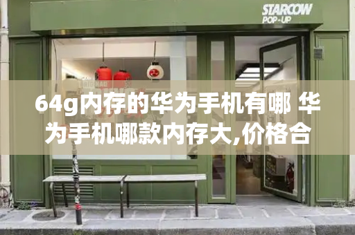 64g内存的华为手机有哪 华为手机哪款内存大,价格合适好用-第1张图片-星选测评