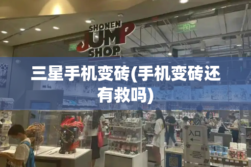 三星手机变砖(手机变砖还有救吗)-第1张图片-星选测评
