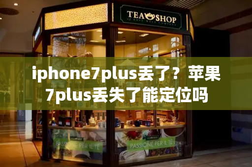 iphone7plus丢了？苹果7plus丢失了能定位吗-第1张图片-星选测评