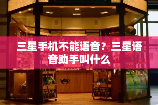 三星手机不能语音？三星语音助手叫什么-第1张图片-星选测评