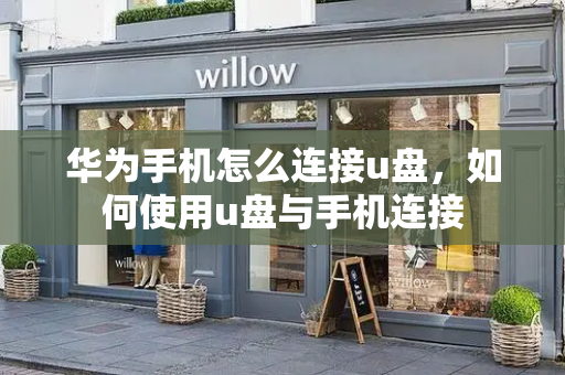 华为手机怎么连接u盘，如何使用u盘与手机连接-第1张图片-星选测评