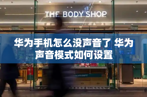华为手机怎么没声音了 华为声音模式如何设置-第1张图片-星选测评