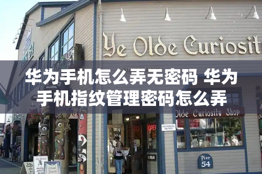 华为手机怎么弄无密码 华为手机指纹管理密码怎么弄-第1张图片-星选测评
