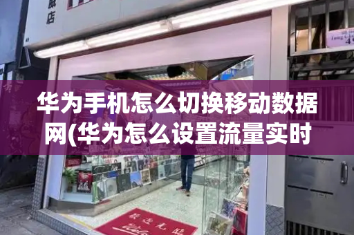华为手机怎么切换移动数据网(华为怎么设置流量实时数据)-第1张图片-星选测评
