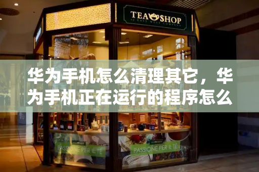 华为手机怎么清理其它，华为手机正在运行的程序怎么关闭-第1张图片-星选测评