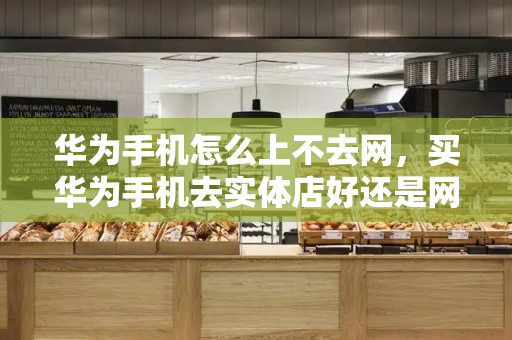 华为手机怎么上不去网，买华为手机去实体店好还是网上好-第1张图片-星选测评