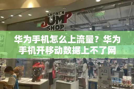 华为手机怎么上流量？华为手机开移动数据上不了网-第1张图片-星选测评