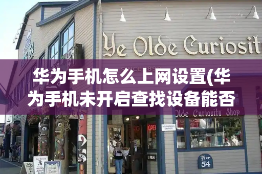华为手机怎么上网设置(华为手机未开启查找设备能否查到)-第1张图片-星选测评