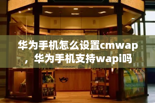 华为手机怎么设置cmwap，华为手机支持wapi吗