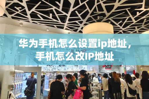 华为手机怎么设置ip地址，手机怎么改IP地址-第1张图片-星选测评
