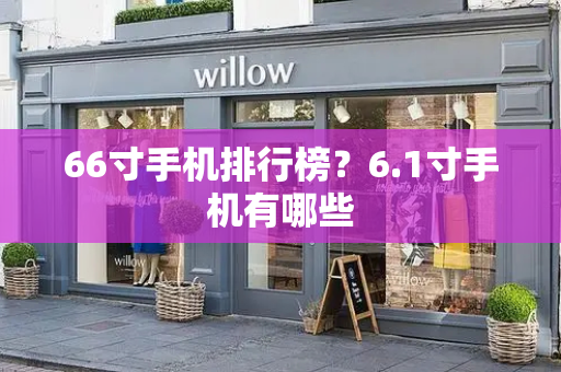 66寸手机排行榜？6.1寸手机有哪些