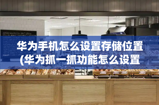 华为手机怎么设置存储位置(华为抓一抓功能怎么设置)-第1张图片-星选测评