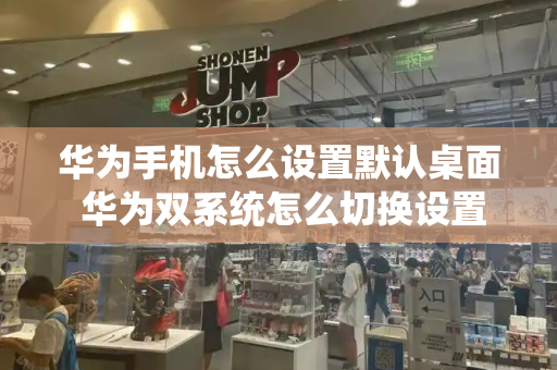 华为手机怎么设置默认桌面 华为双系统怎么切换设置-第1张图片-星选测评