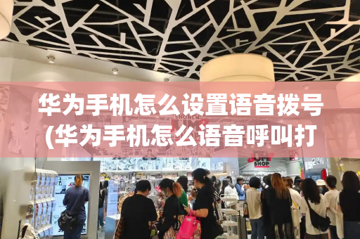 华为手机怎么设置语音拨号(华为手机怎么语音呼叫打电话)-第1张图片-星选测评