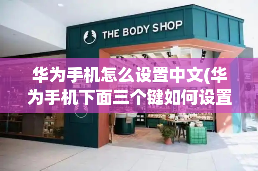 华为手机怎么设置中文(华为手机下面三个键如何设置)-第1张图片-星选测评