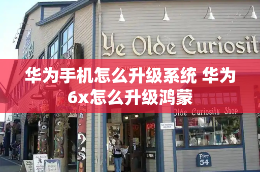 华为手机怎么升级系统 华为6x怎么升级鸿蒙-第1张图片-星选测评