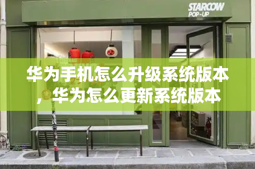 华为手机怎么升级系统版本，华为怎么更新系统版本-第1张图片-星选测评