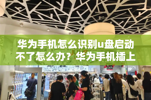 华为手机怎么识别u盘启动不了怎么办？华为手机插上u盘没反应怎么回事-第1张图片-星选测评