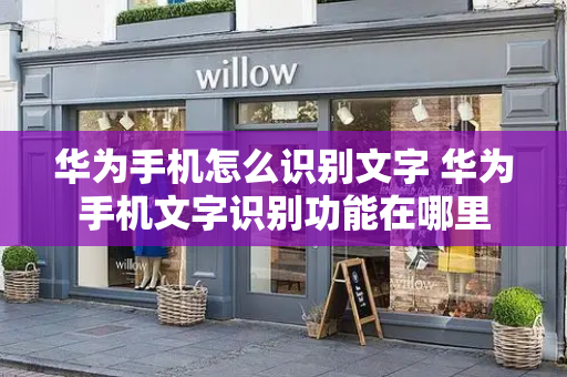 华为手机怎么识别文字 华为手机文字识别功能在哪里-第1张图片-星选测评
