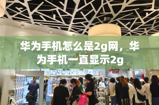 华为手机怎么是2g网，华为手机一直显示2g-第1张图片-星选测评