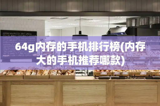 64g内存的手机排行榜(内存大的手机推荐哪款)-第1张图片-星选测评