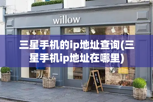 三星手机的ip地址查询(三星手机ip地址在哪里)