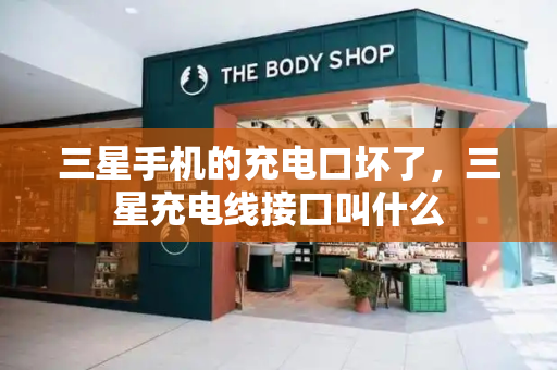 三星手机的充电口坏了，三星充电线接口叫什么-第1张图片-星选测评