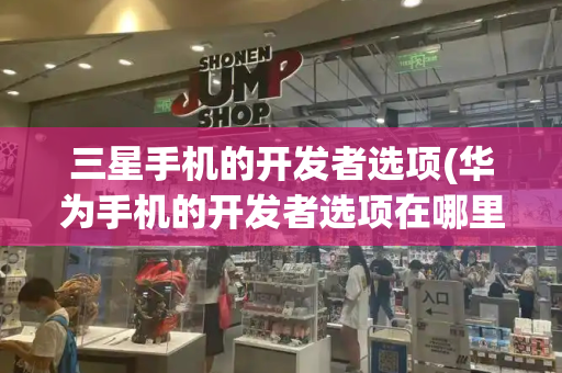 三星手机的开发者选项(华为手机的开发者选项在哪里)