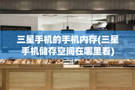 三星手机的手机内存(三星手机储存空间在哪里看)