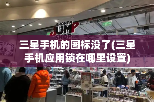 三星手机的图标没了(三星手机应用锁在哪里设置)