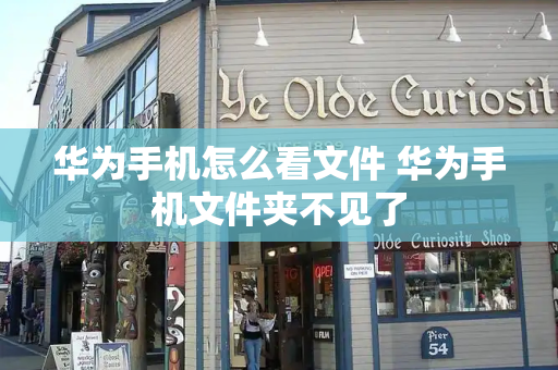 华为手机怎么看文件 华为手机文件夹不见了-第1张图片-星选测评