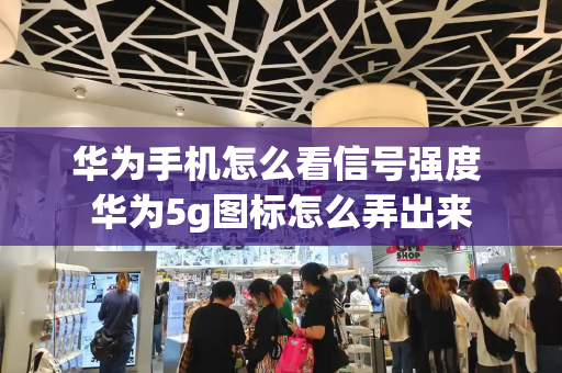 华为手机怎么看信号强度 华为5g图标怎么弄出来