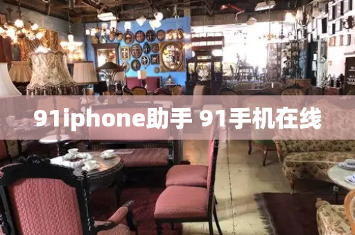 91iphone助手 91手机在线-第1张图片-星选测评