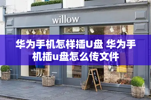 华为手机怎样插U盘 华为手机插u盘怎么传文件