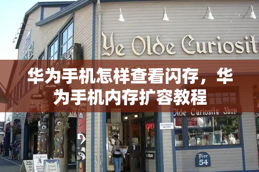 华为手机怎样查看闪存，华为手机内存扩容教程-第1张图片-星选测评