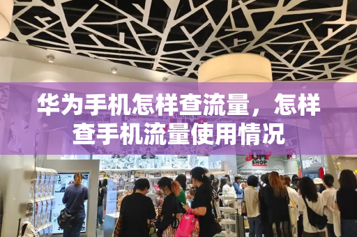 华为手机怎样查流量，怎样查手机流量使用情况-第1张图片-星选测评