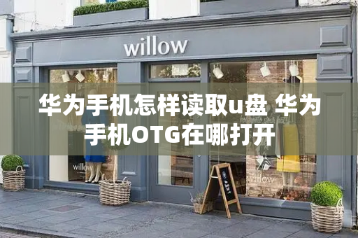 华为手机怎样读取u盘 华为手机OTG在哪打开-第1张图片-星选测评