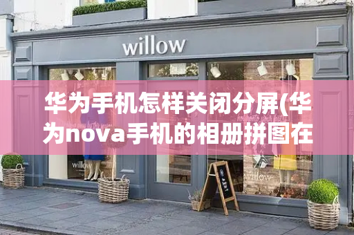 华为手机怎样关闭分屏(华为nova手机的相册拼图在哪)-第1张图片-星选测评