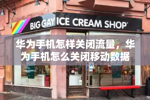 华为手机怎样关闭流量，华为手机怎么关闭移动数据