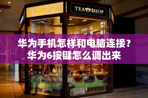 华为手机怎样和电脑连接？华为6按键怎么调出来-第1张图片-星选测评
