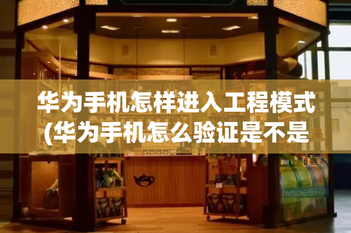 华为手机怎样进入工程模式(华为手机怎么验证是不是原装机)