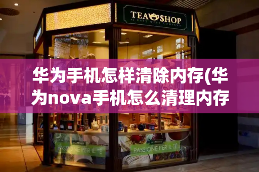 华为手机怎样清除内存(华为nova手机怎么清理内存)-第1张图片-星选测评