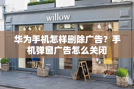 华为手机怎样删除广告？手机弹窗广告怎么关闭-第1张图片-星选测评