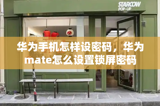 华为手机怎样设密码，华为mate怎么设置锁屏密码-第1张图片-星选测评