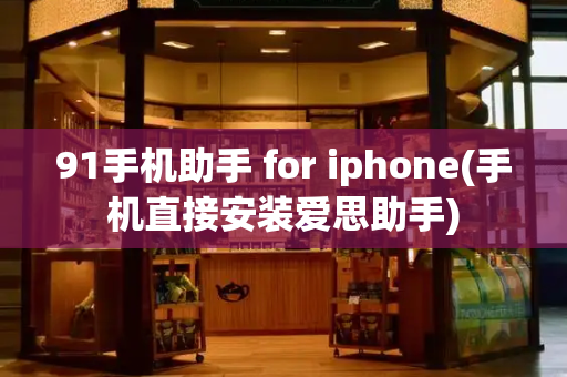 91手机助手 for iphone(手机直接安装爱思助手)