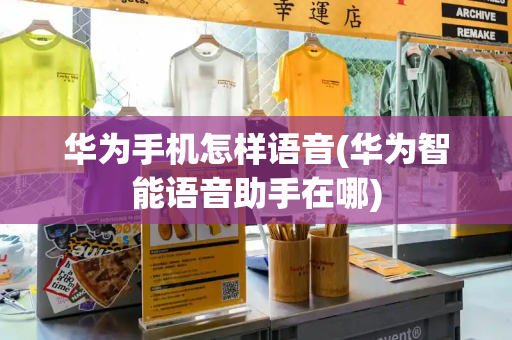 华为手机怎样语音(华为智能语音助手在哪)-第1张图片-星选测评