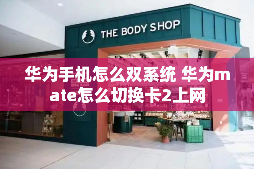 华为手机怎么双系统 华为mate怎么切换卡2上网