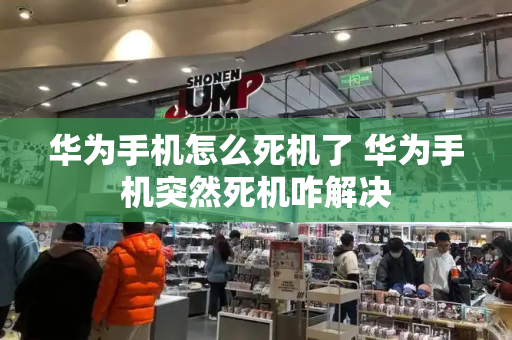 华为手机怎么死机了 华为手机突然死机咋解决-第1张图片-星选测评